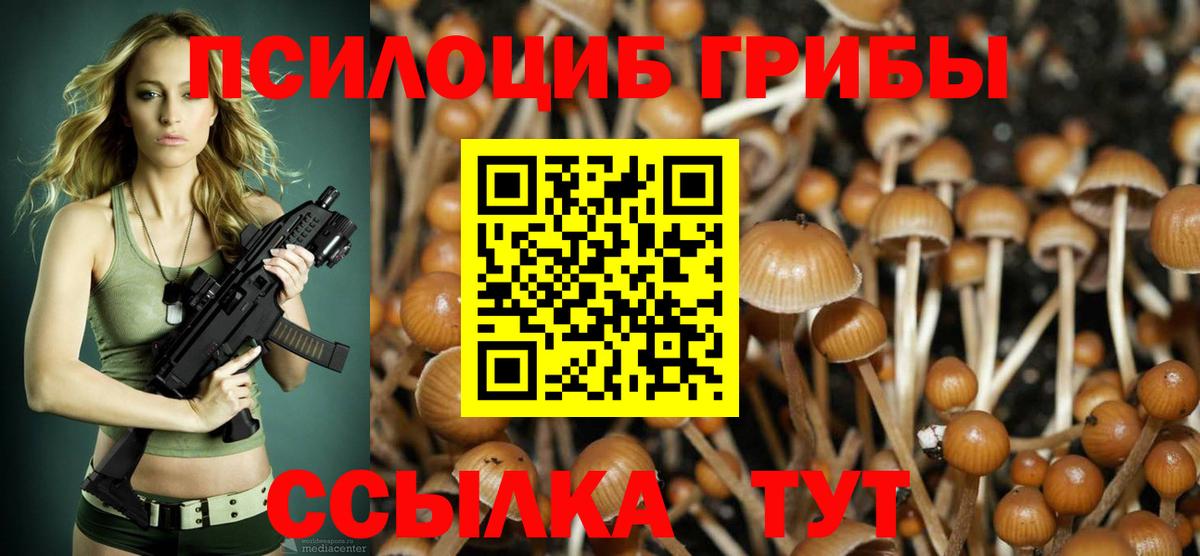 Псилоцибиновые грибы GOLDEN TEACHER  Вход с VPN  Москва 